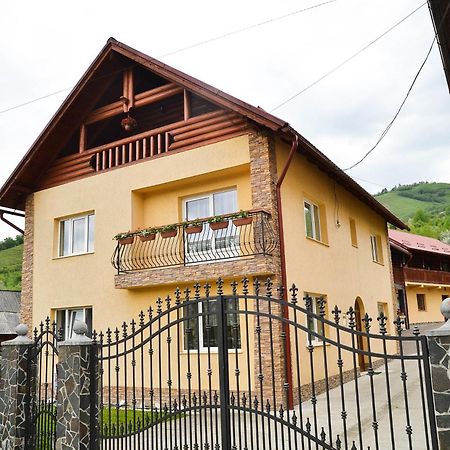 Pensiunea Dorina Botiza Exterior foto