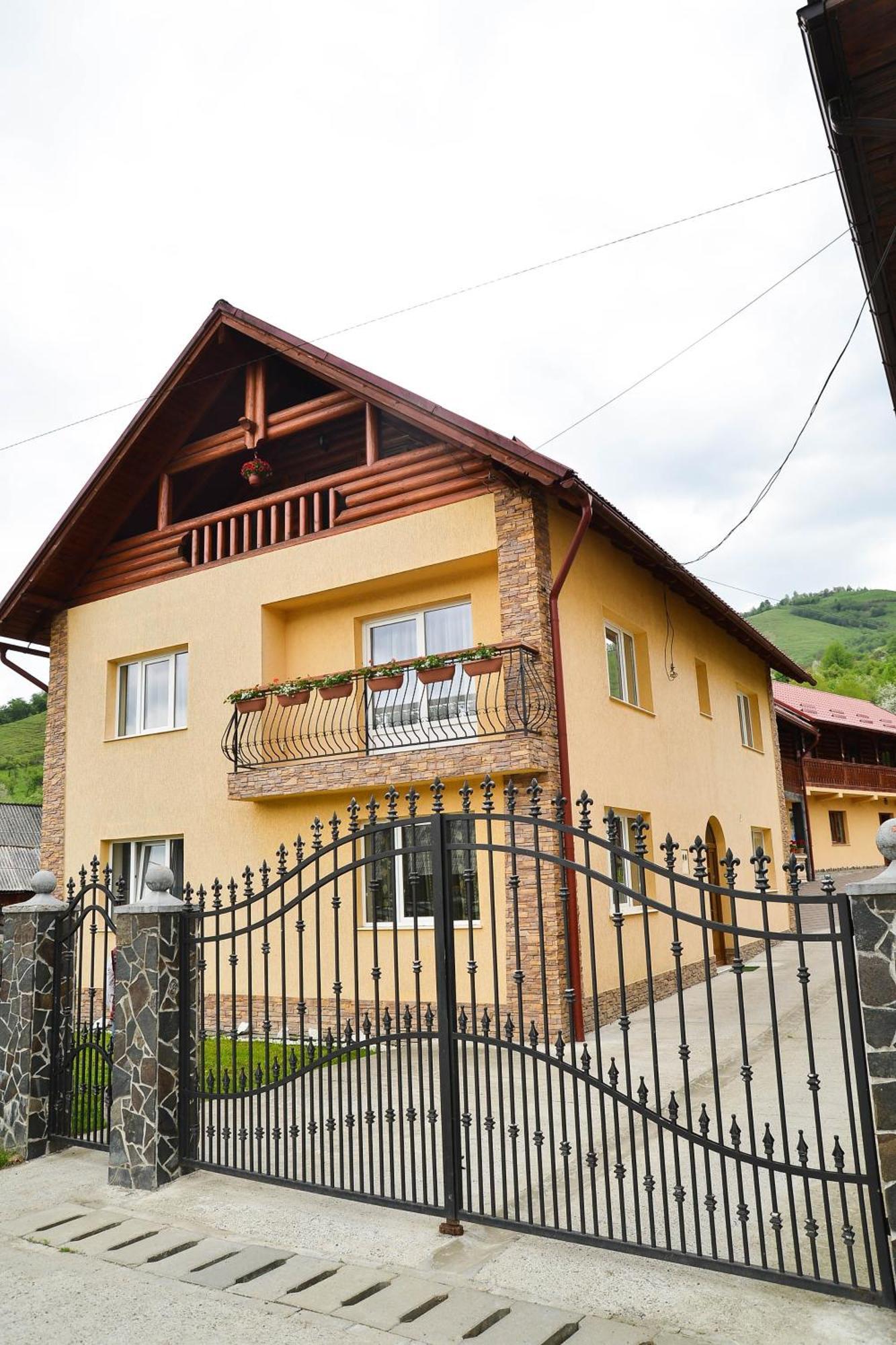 Pensiunea Dorina Botiza Exterior foto