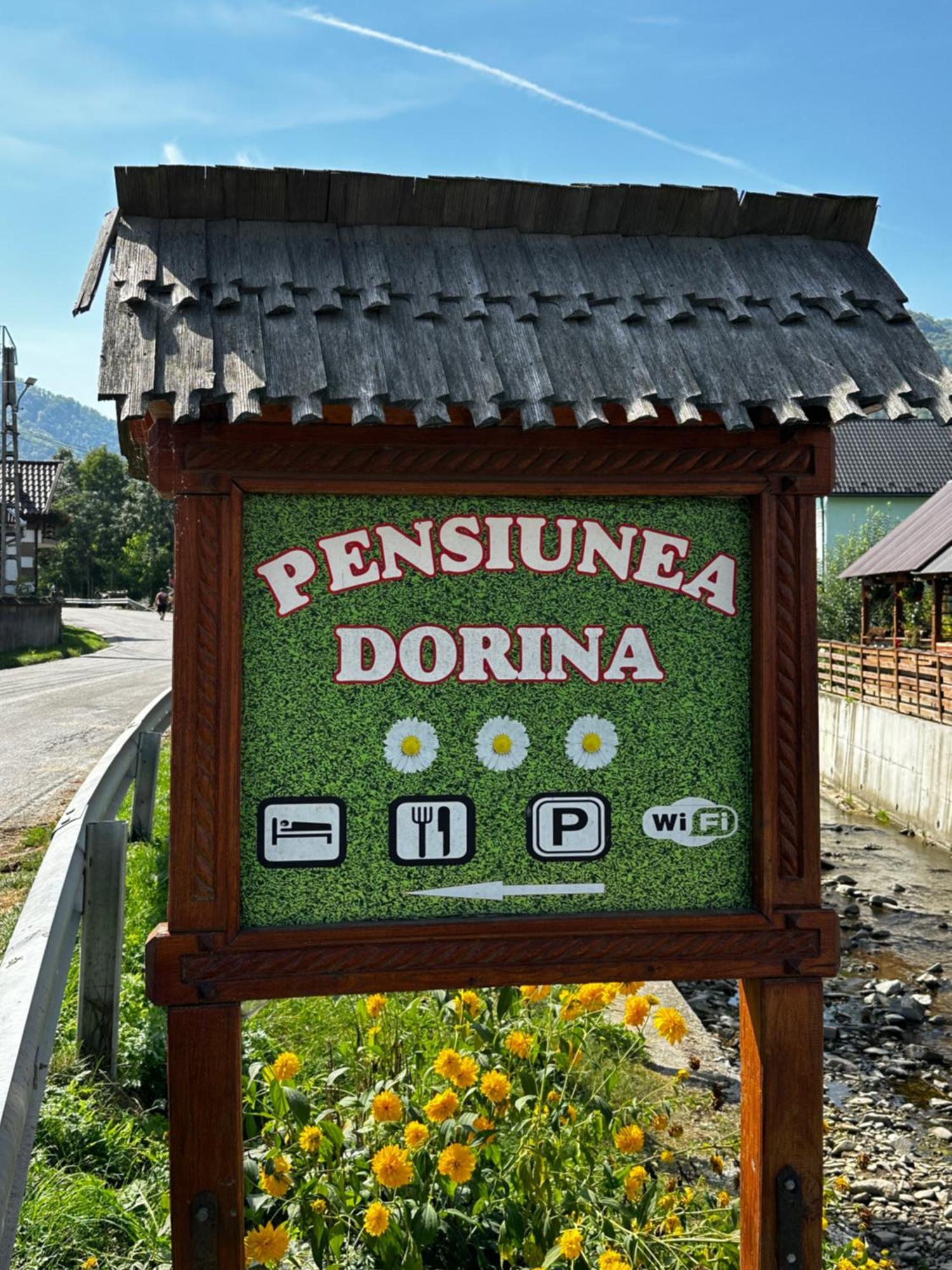 Pensiunea Dorina Botiza Exterior foto