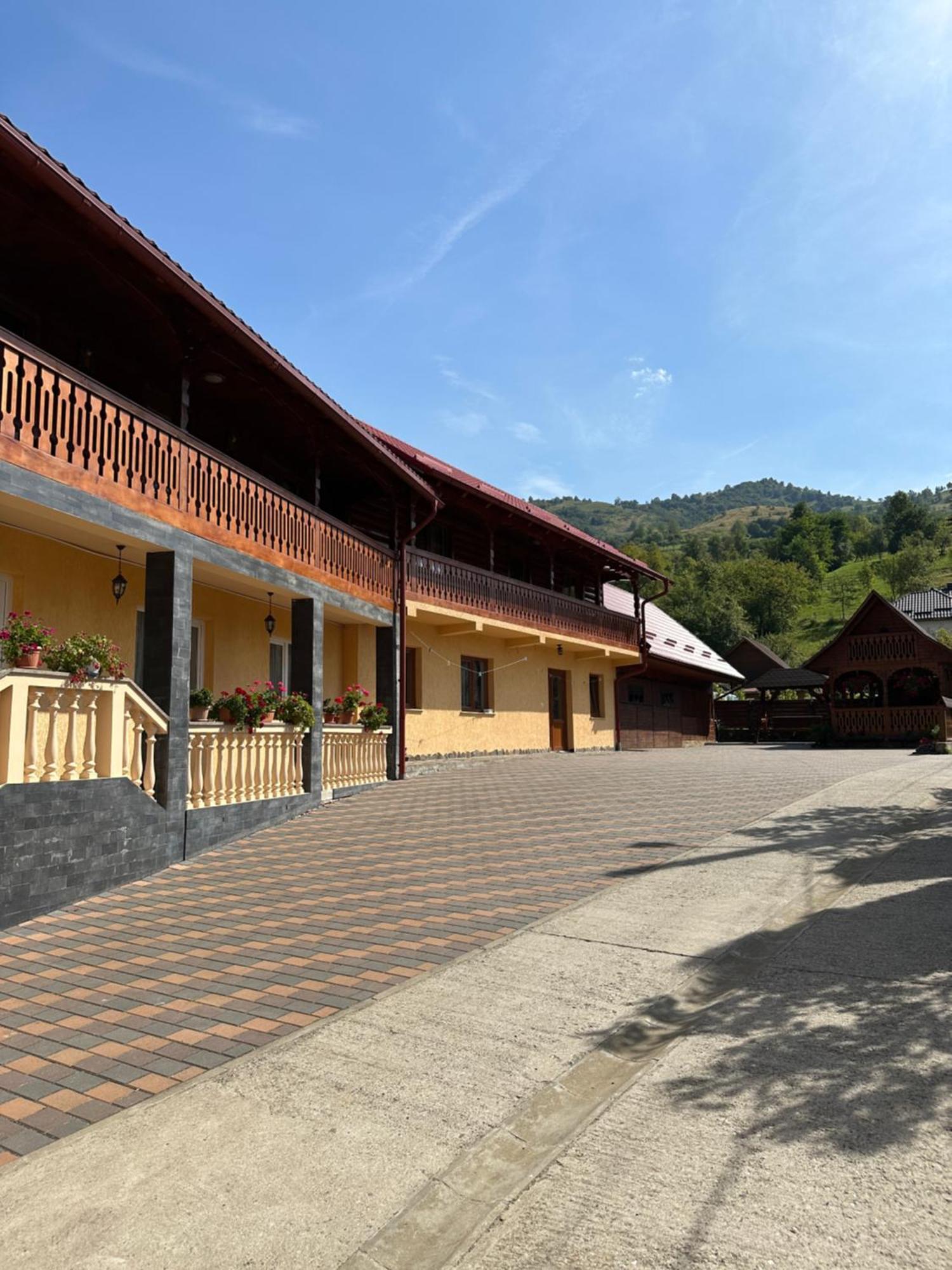 Pensiunea Dorina Botiza Exterior foto