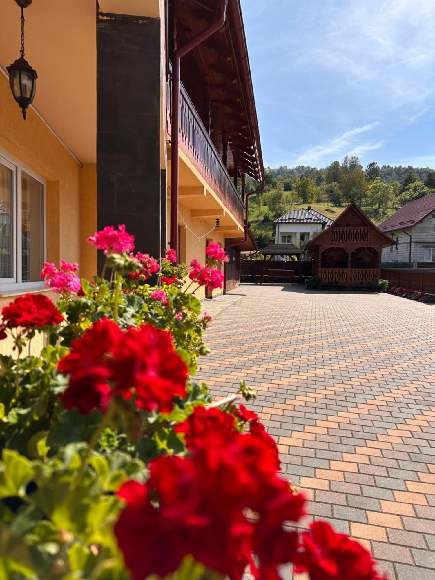 Pensiunea Dorina Botiza Exterior foto
